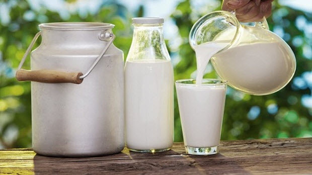  Ngành sữa Việt Nam mới đáp ứng được 20% nhu cầu nội địa