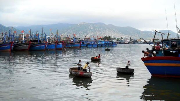 Ninh Thuận đề xuất đưa Dự án Cảng biển Cà Ná – Dóc Hầm vào danh mục dự án PPP có sử dụng nguồn vốn PDF