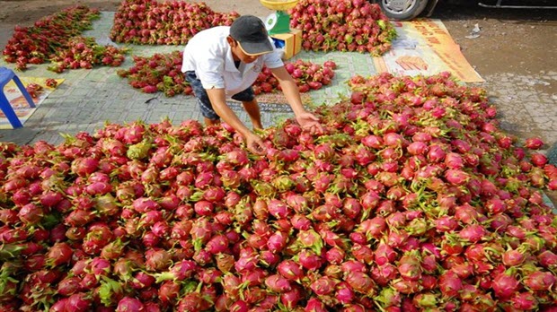  Việt Nam chi 1 tỉ đô la Mỹ nhập khẩu rau củ