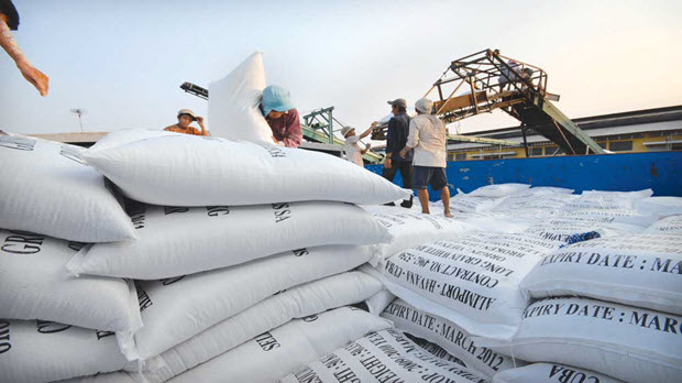  Xuất khẩu gạo năm 2016: Bài toán lấy “chất” bù “lượng”