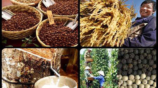 Những nhóm hàng nông sản xuất khẩu “tỷ đô” của Việt Nam