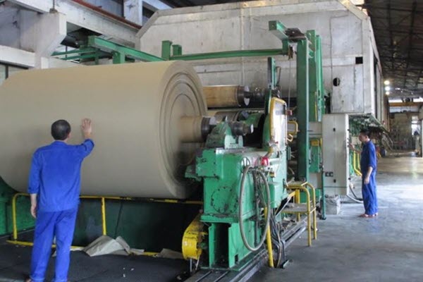Việt Nam paper industry needs to diversify product portfolio