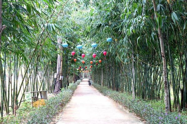 Giới trẻ rủ nhau "check in" rừng tre độc đáo nằm giữa Hội An và Đà Nẵng