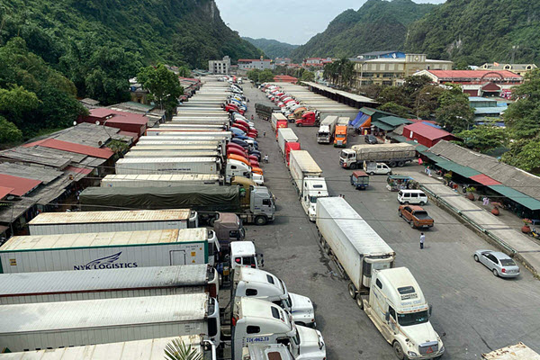 Tồn gần 1.000 xe hàng, Lạng Sơn đề nghị tạm dừng tiếp nhận hàng xuất khẩu tại cửa khẩu Tân Thanh