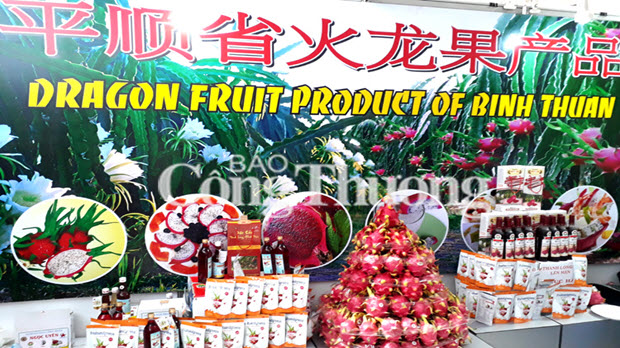  Mở rộng thị trường cho thanh long Bình Thuận