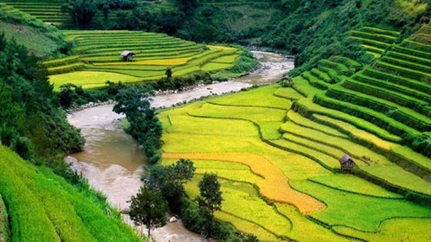  7 thung lũng đẹp như tranh ở Việt Nam