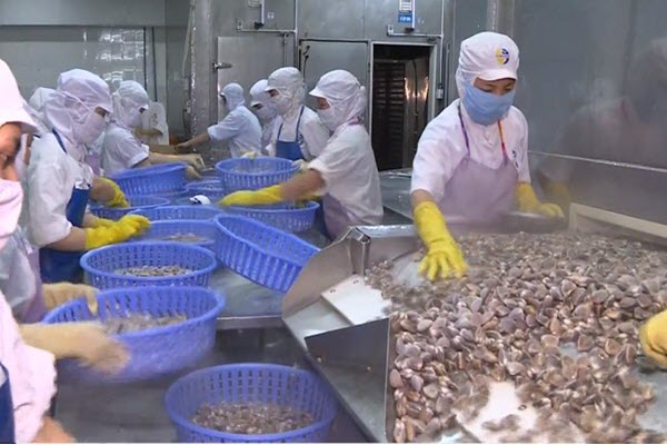 Thêm 3 loại thủy sản Việt Nam được xuất khẩu sang thị trường Trung Quốc