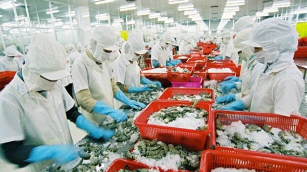 Việt Nam vượt Thái Lan đứng thứ 1 thế giới về xuất khẩu tôm