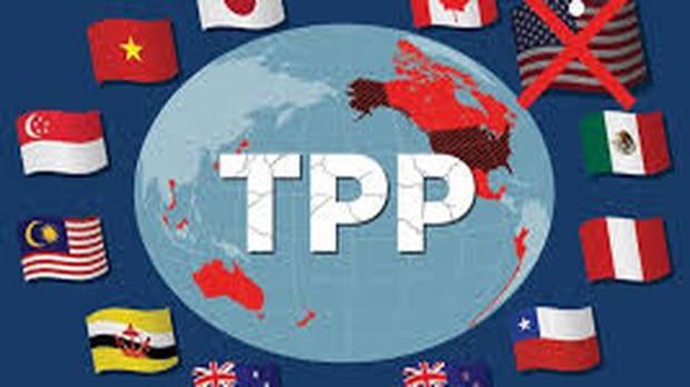  Từ Washington sang Tokyo, TPP 2.0 không Mỹ và có Việt Nam ngày càng rõ nét