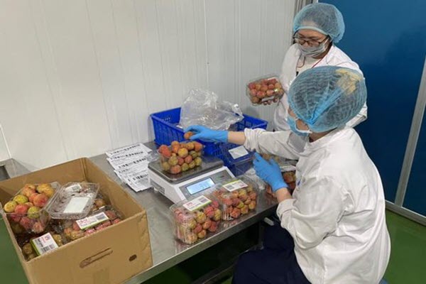 Nông sản Việt đẩy mạnh tiêu thụ trên sàn thương mại điện tử 
