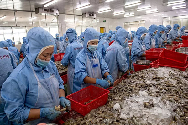 US maintains decision to lift anti-dumping duties on Vietnamese shrimp