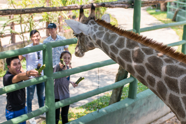 Sở thú Vườn Xoài – Đồng Nai liên tục đón nhận tin vui từ nhiều thú con mới sinh