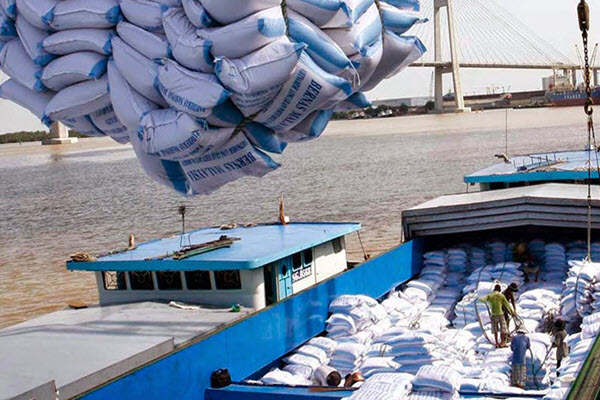 Nếu ngừng xuất khẩu gạo, đại diện lãnh đạo 13 tỉnh ĐBSCL và 20 doanh nghiệp lớn lo vỡ trận