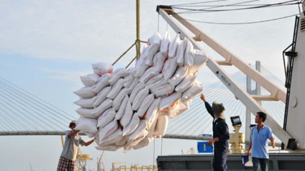 Gạo Việt đặt mục tiêu xuất khẩu mỗi năm thu về 2,5 tỷ USD