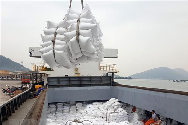 ‘Nghẽn’ ở cảng, xuất khẩu gạo Việt Nam bị ảnh hưởng đến hết tháng 9
